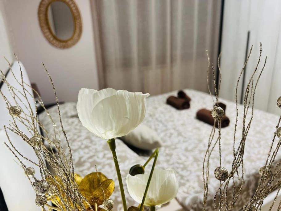 Apartment Albona 77 Rom